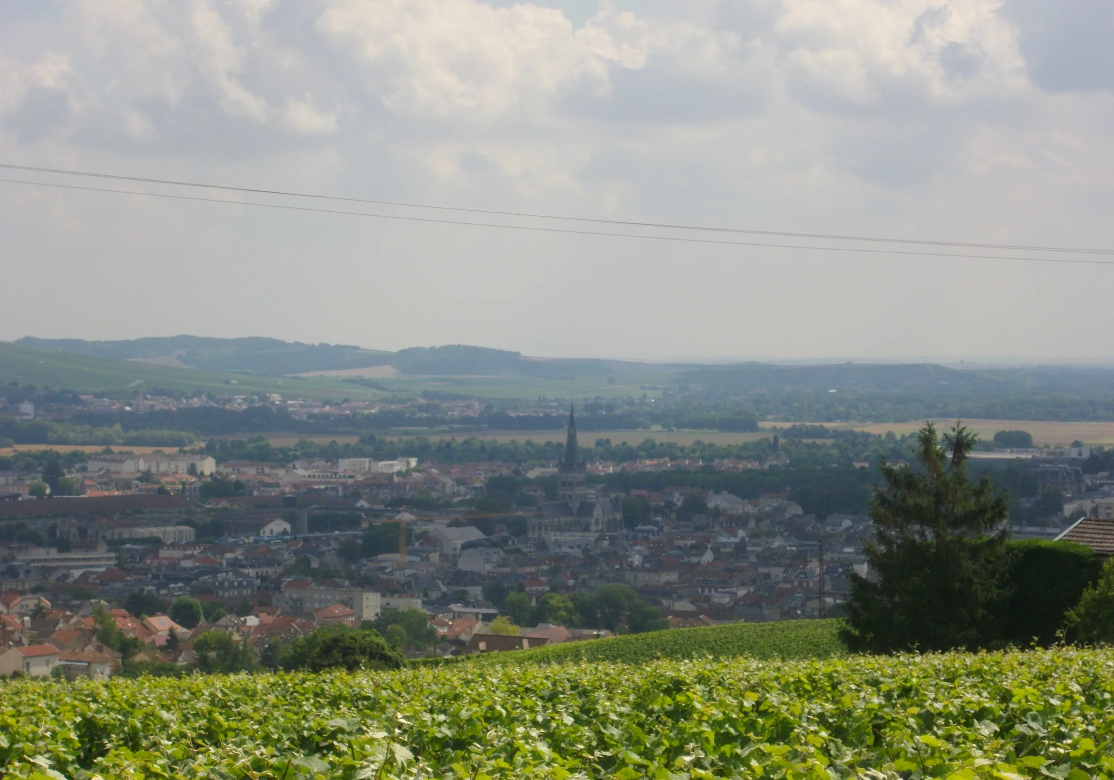 Vineyards at Épernay