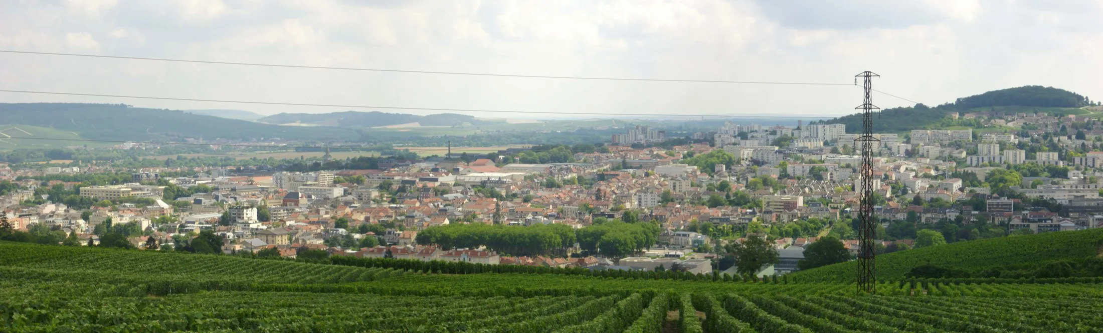 Fab5669 — CC BY-SA 4.0 A second view of vineyards at Épernay