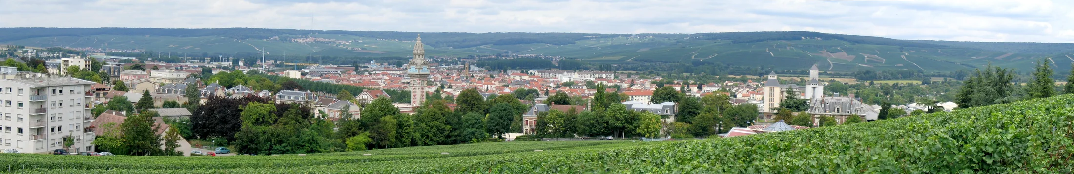 Mercier vineyards in Épernay