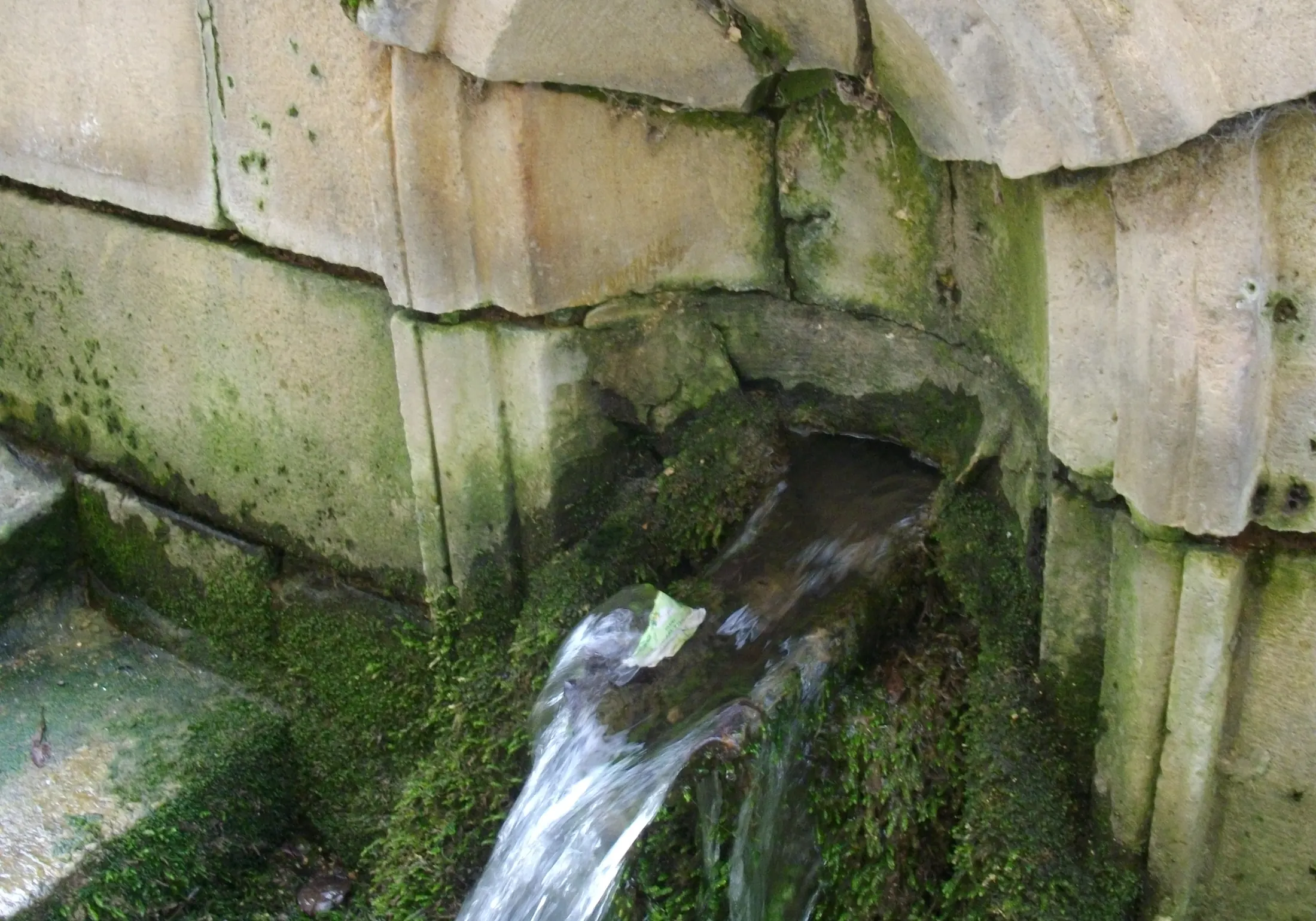 Fountain on rue Gambetta in Vertus