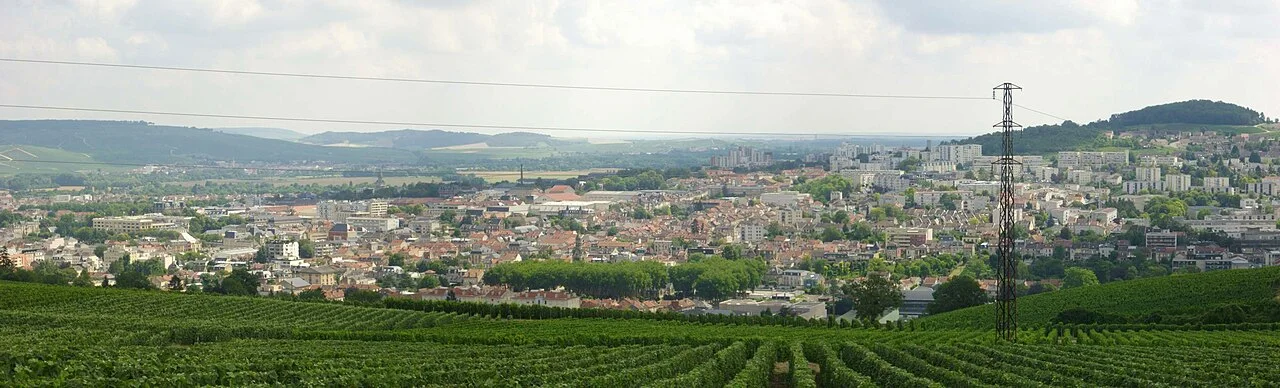 Fab5669 — CC BY-SA 4.0 A second view of vineyards at Épernay