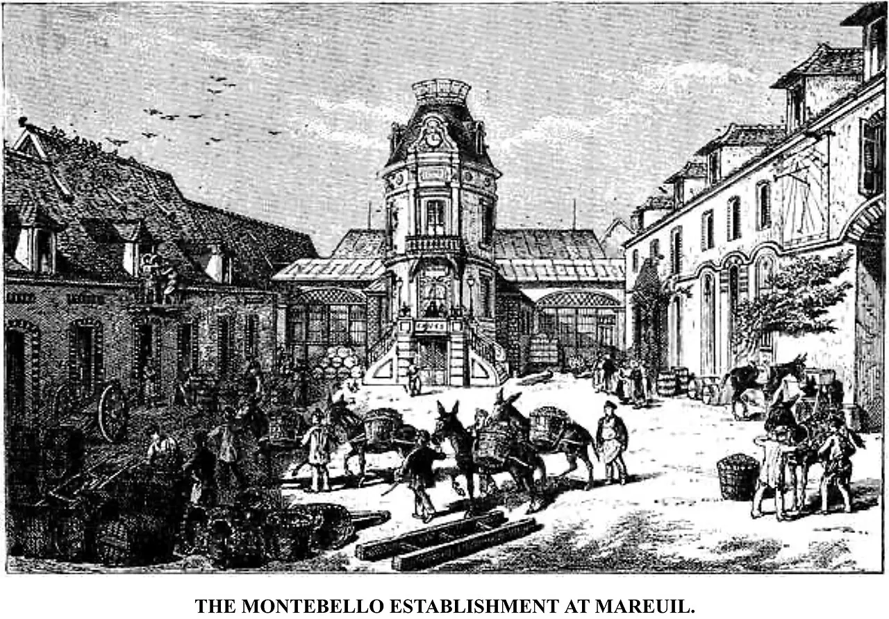 Château de Montebello in Mareuil-sur-Aÿ
