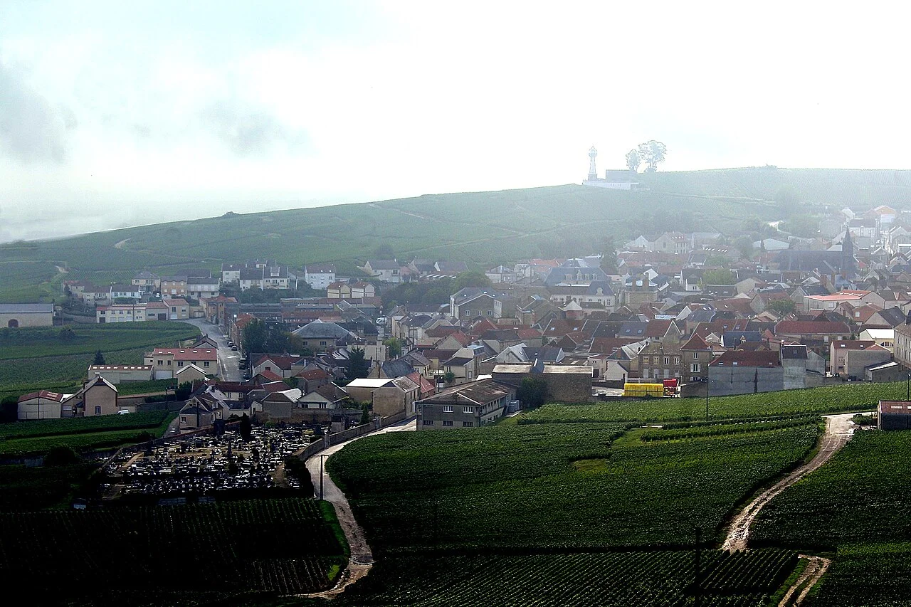 View of the village of Verzenay